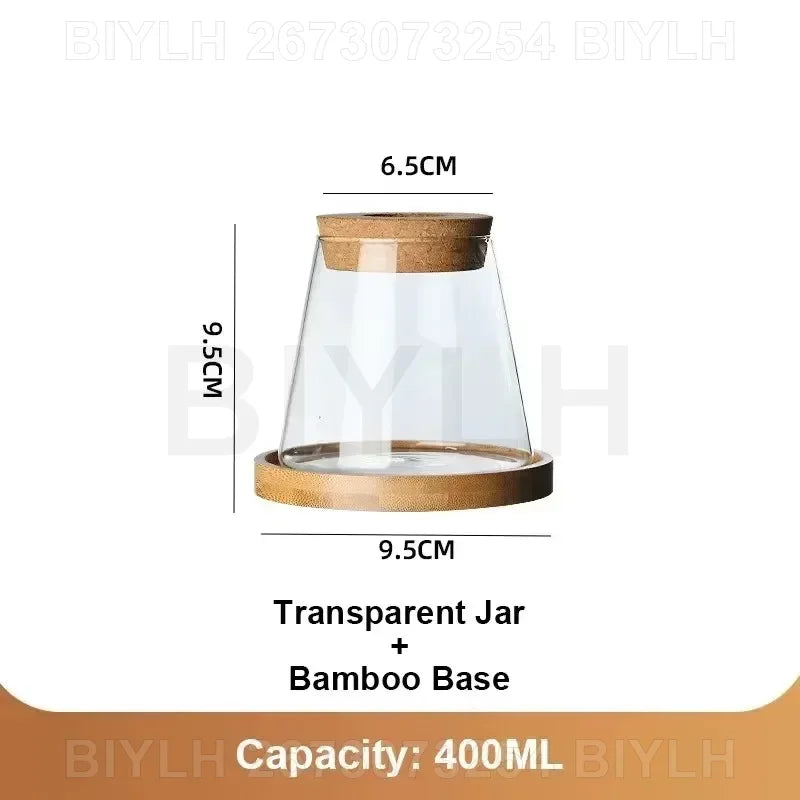 Modern Hydroponic Plant Pots