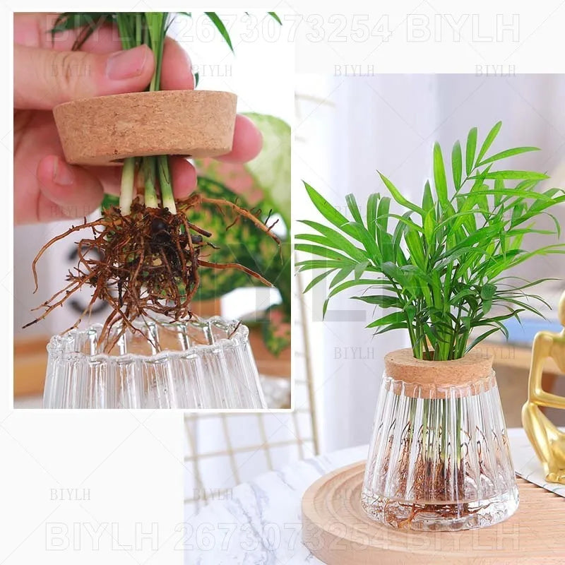Modern Hydroponic Plant Pots