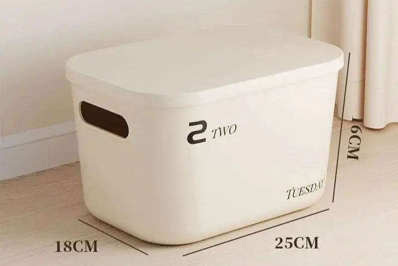 Minimalist Dustproof Storage Box