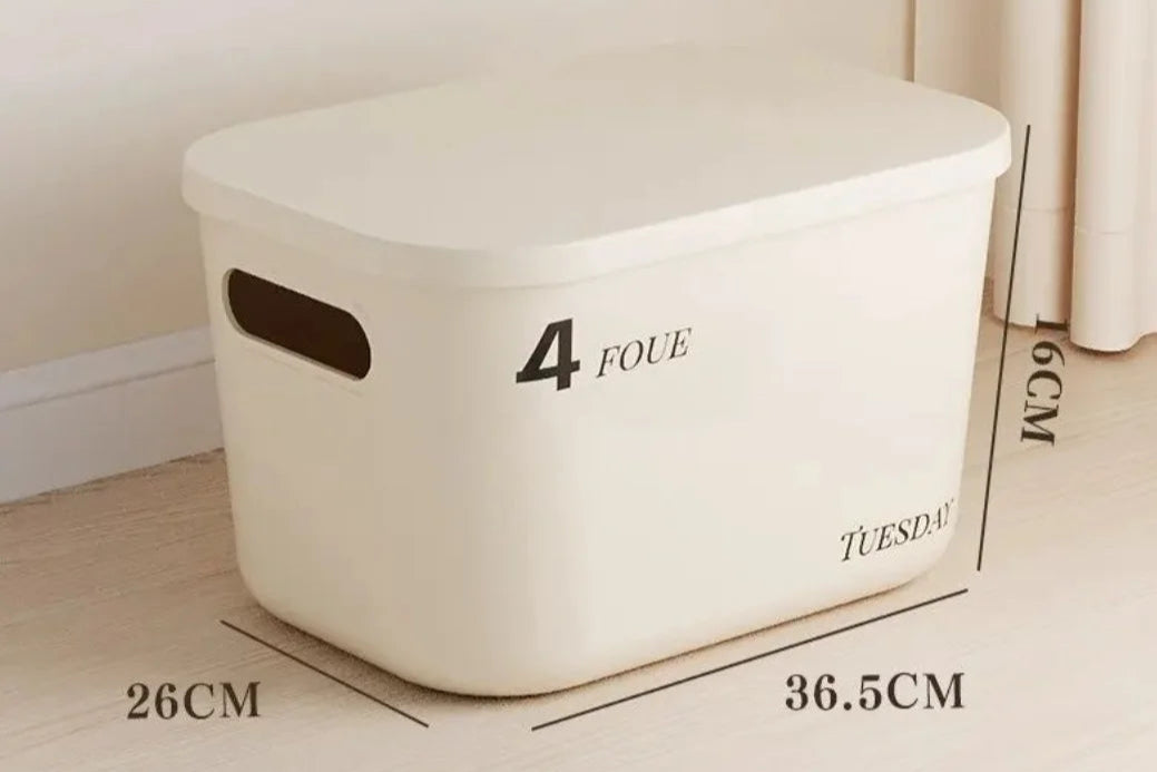Minimalist Dustproof Storage Box