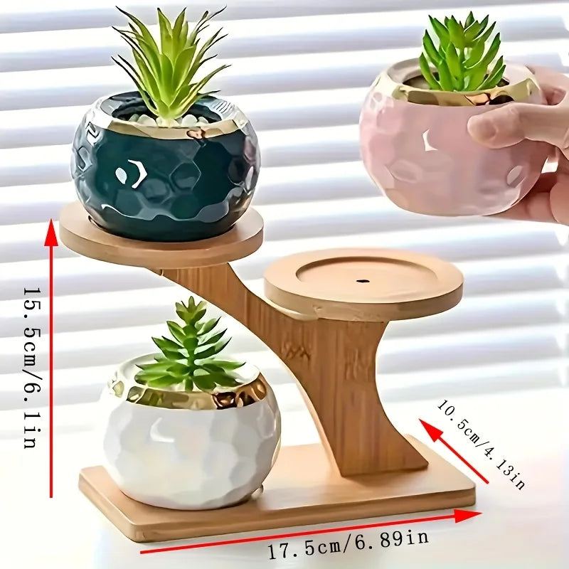 Compact Bamboo Stand
