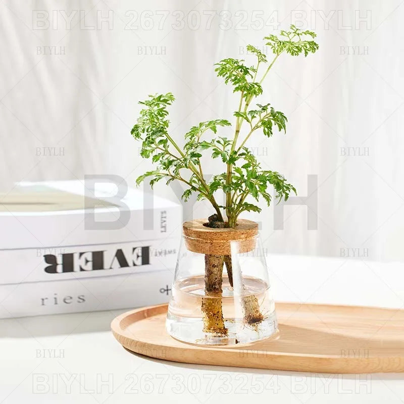 Modern Hydroponic Plant Pots