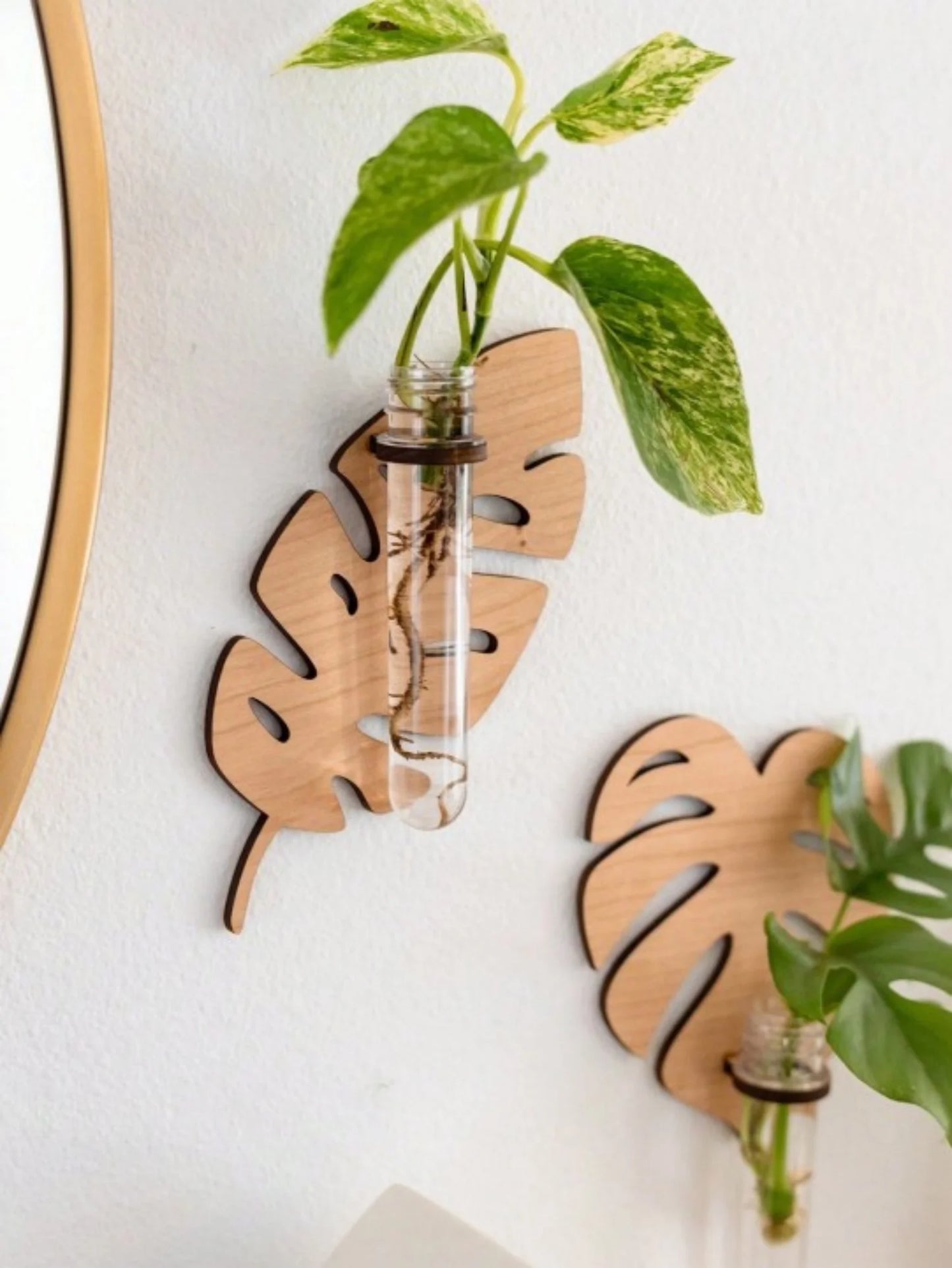 Leaf Design Wall Hanging Planters