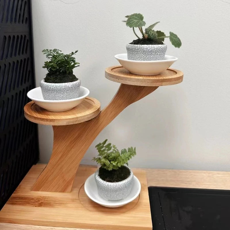 Compact Bamboo Stand