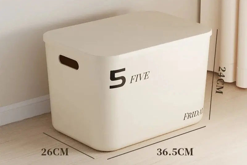Minimalist Dustproof Storage Box