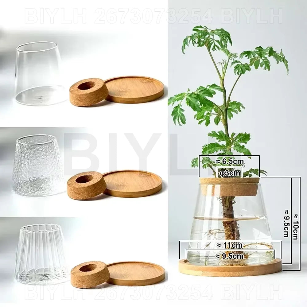 Modern Hydroponic Plant Pots