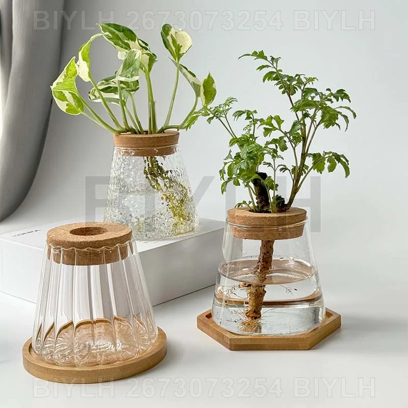 Modern Hydroponic Plant Pots