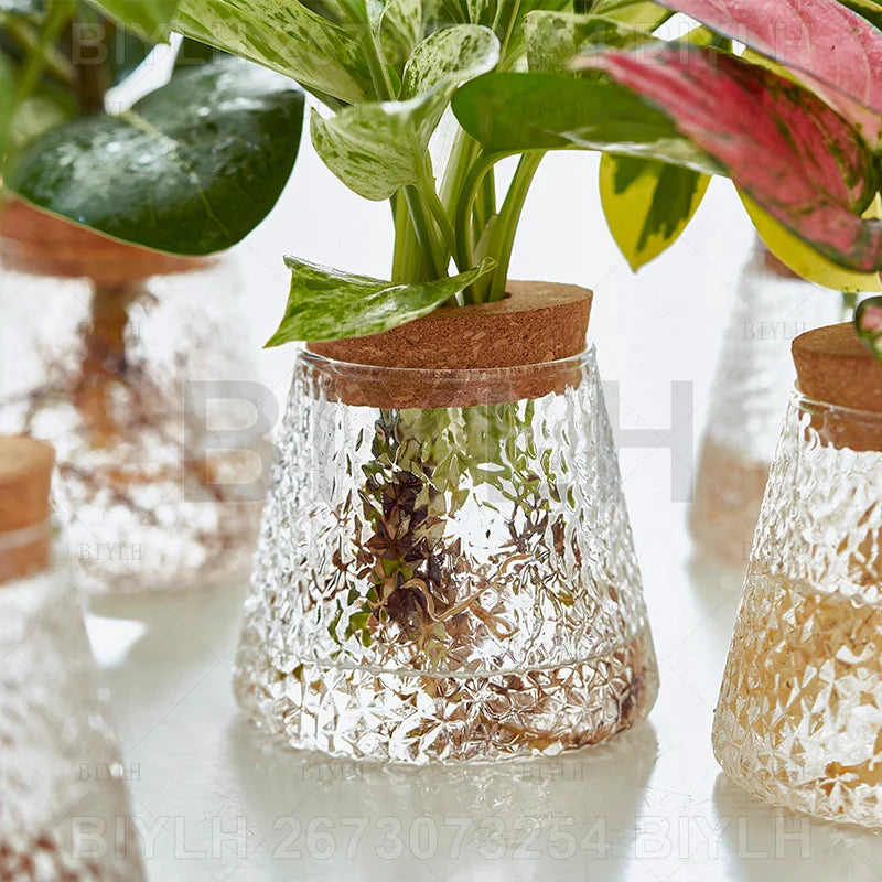 Modern Hydroponic Plant Pots