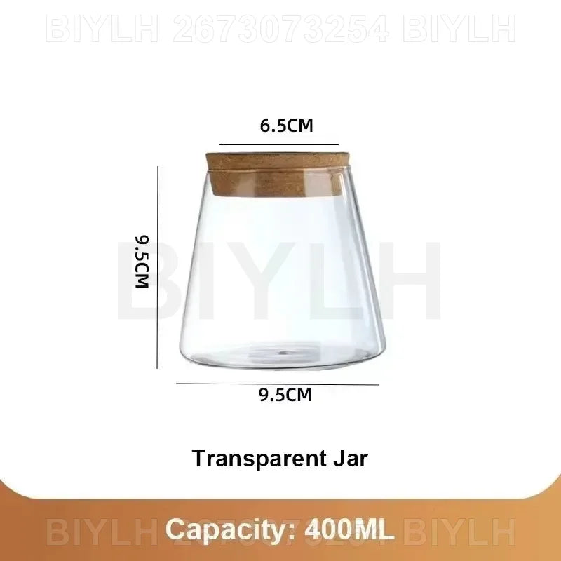 Modern Hydroponic Plant Pots