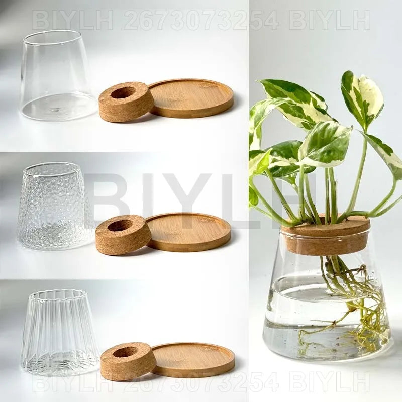 Modern Hydroponic Plant Pots