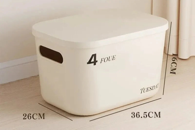 Minimalist Dustproof Storage Box