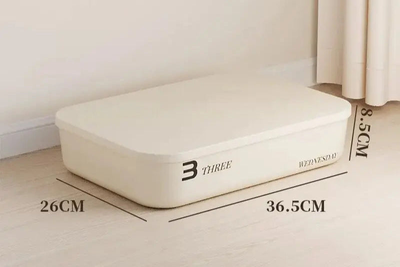 Minimalist Dustproof Storage Box