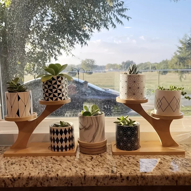 Compact Bamboo Stand