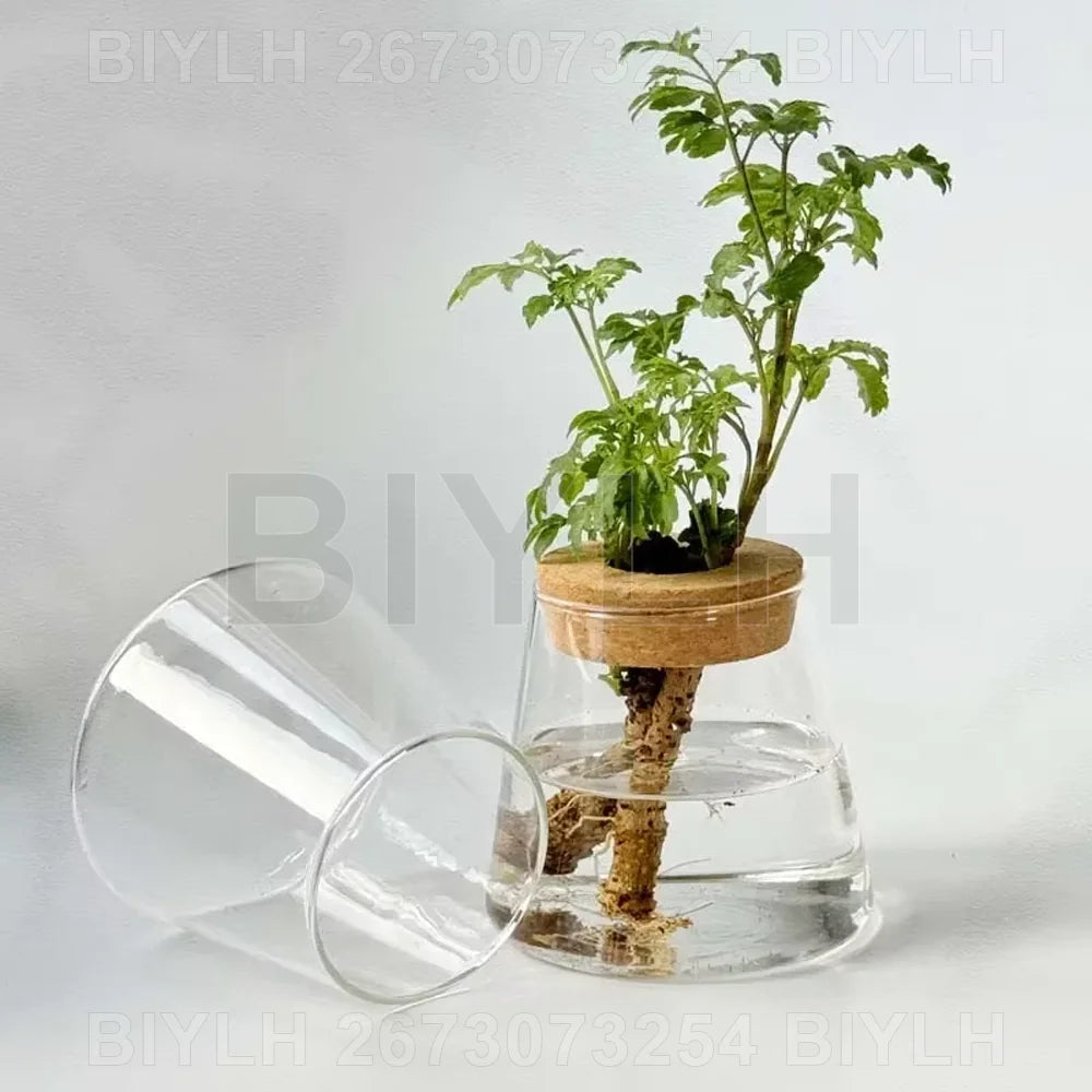 Modern Hydroponic Plant Pots