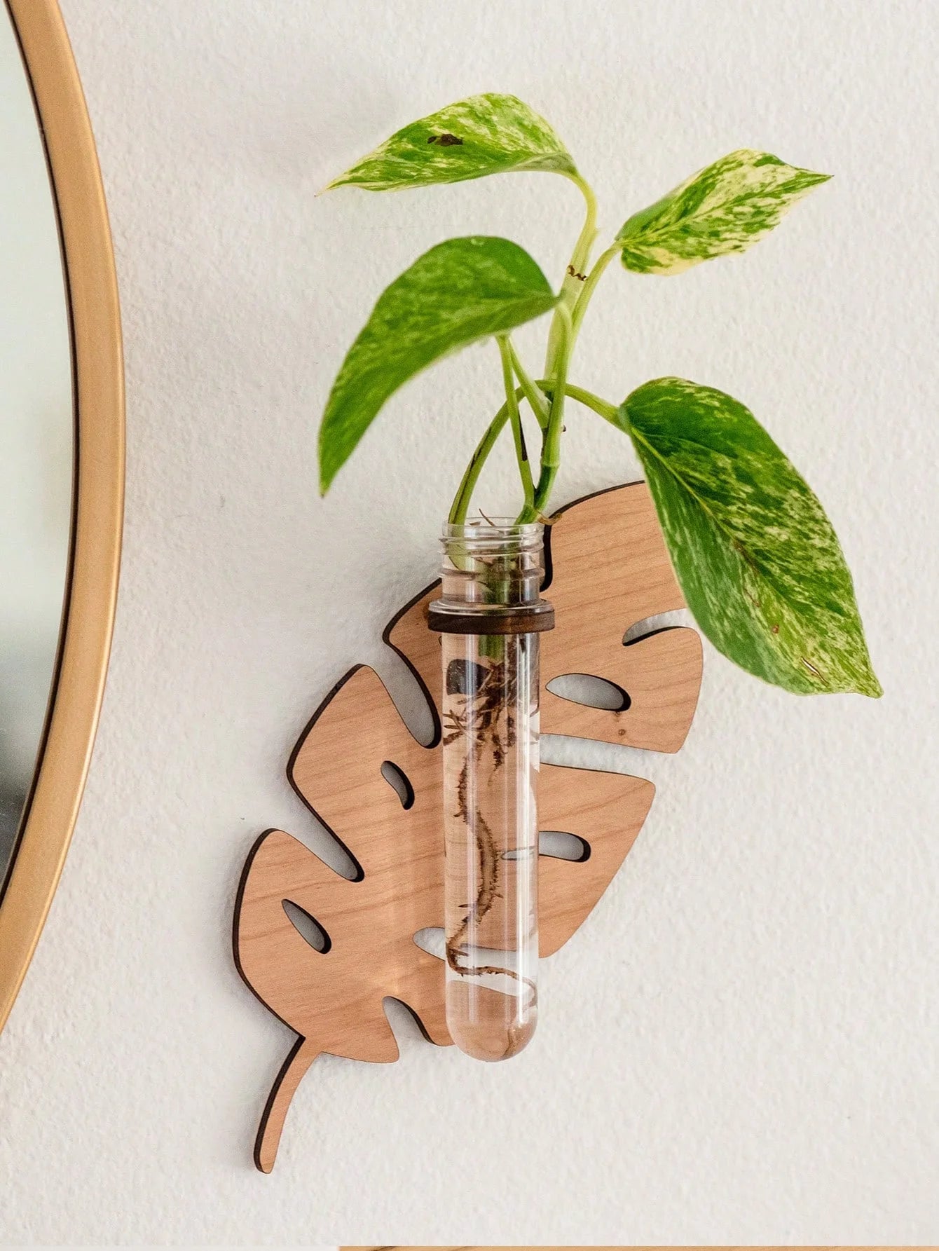 Leaf Design Wall Hanging Planters