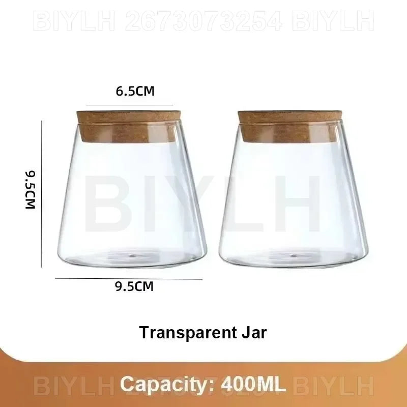 Modern Hydroponic Plant Pots