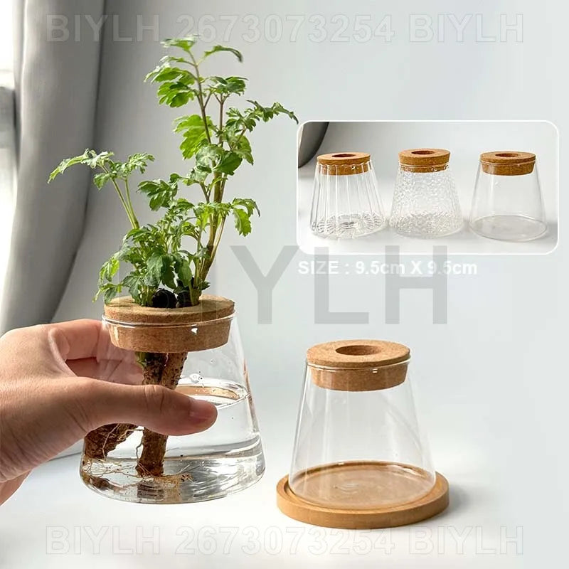 Modern Hydroponic Plant Pots