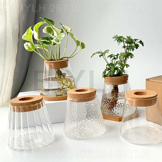 Modern Hydroponic Plant Pots
