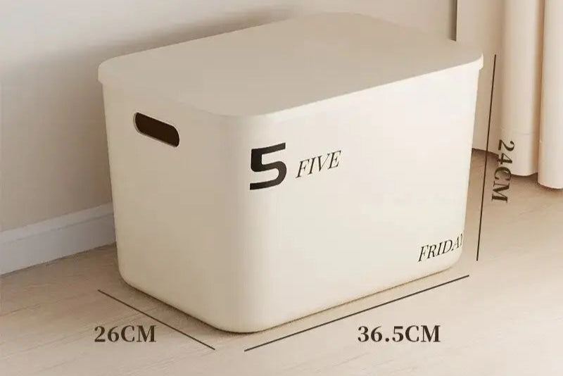 Minimalist Dustproof Storage Box