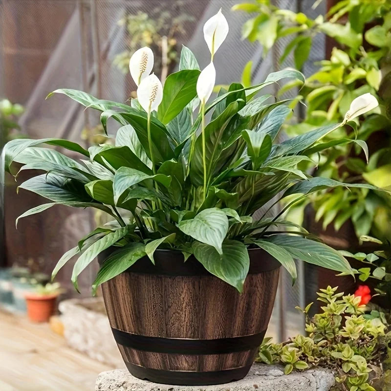 Set of 2 vintage whisky barrel planters, garden flower pots with drainage holes, plastic oval plant containers