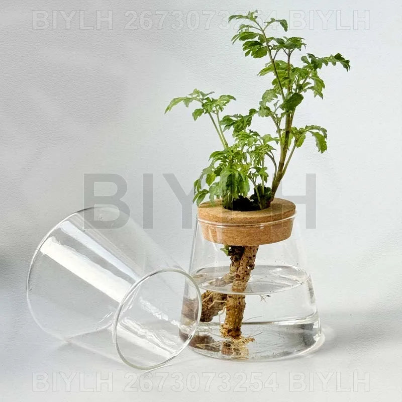 Modern Hydroponic Plant Pots
