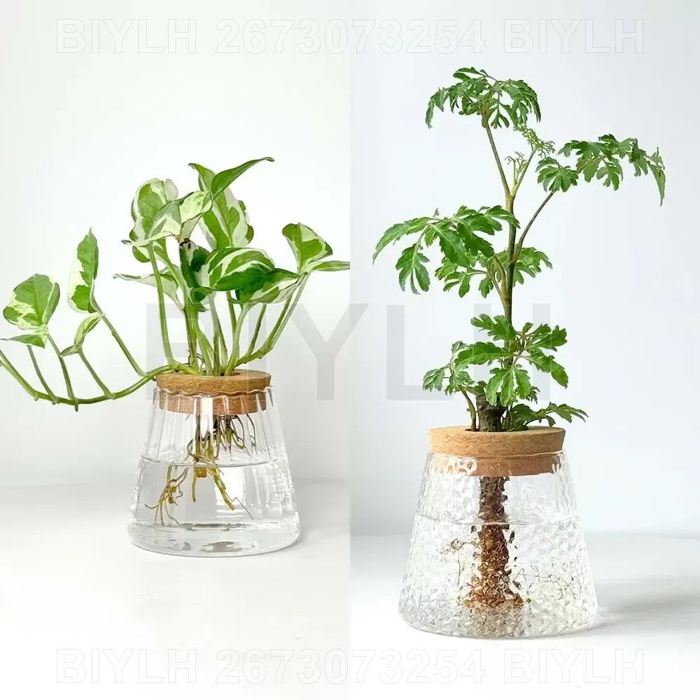 Modern Hydroponic Plant Pots